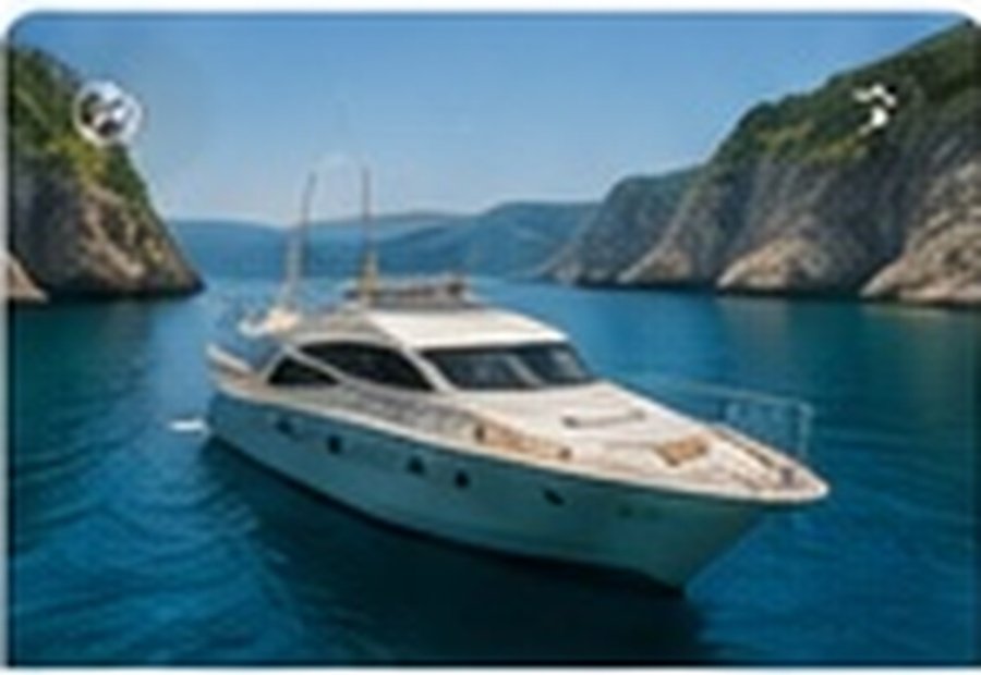 Boat Trips