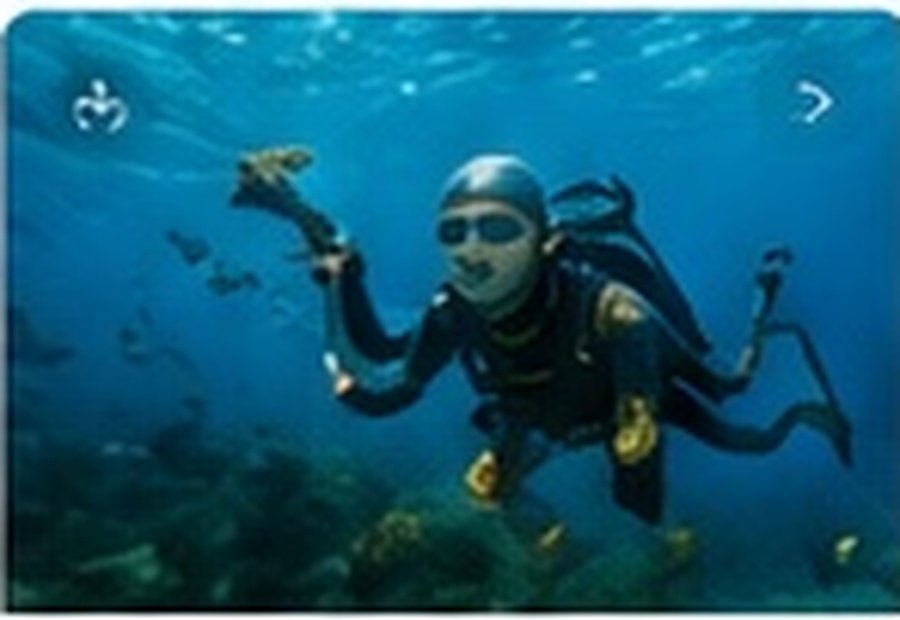 Diving Adventures